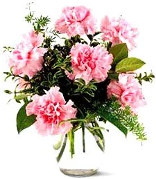 Perfect Pink Petals Bouquet