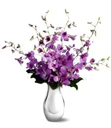 Tender Orchid Bouquet