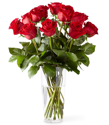 One Dozen Red Roses - Sunny Flower Delivery